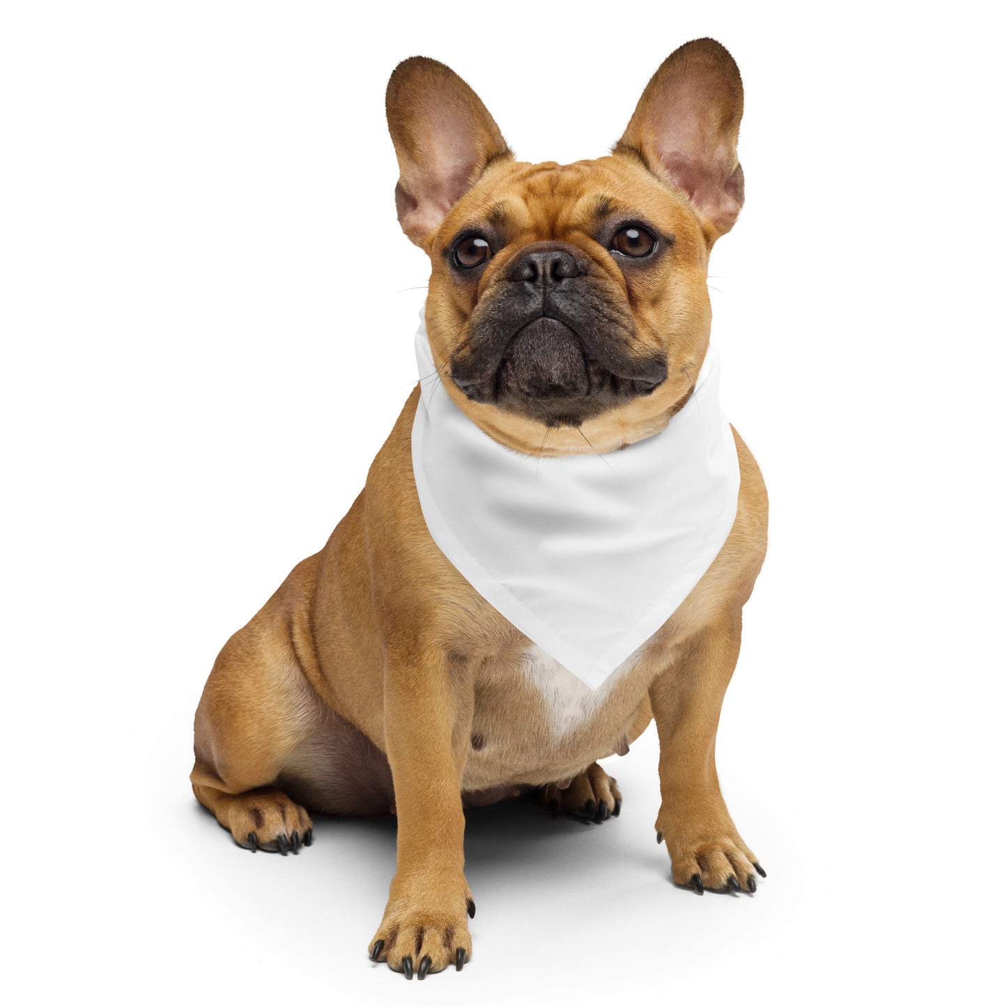 Bandana